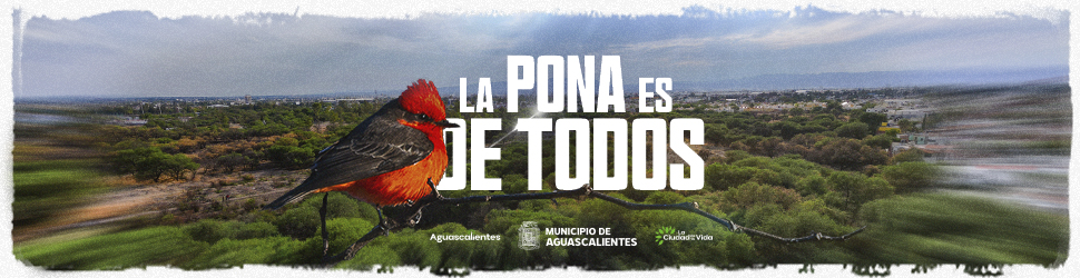 La Pona es de todos